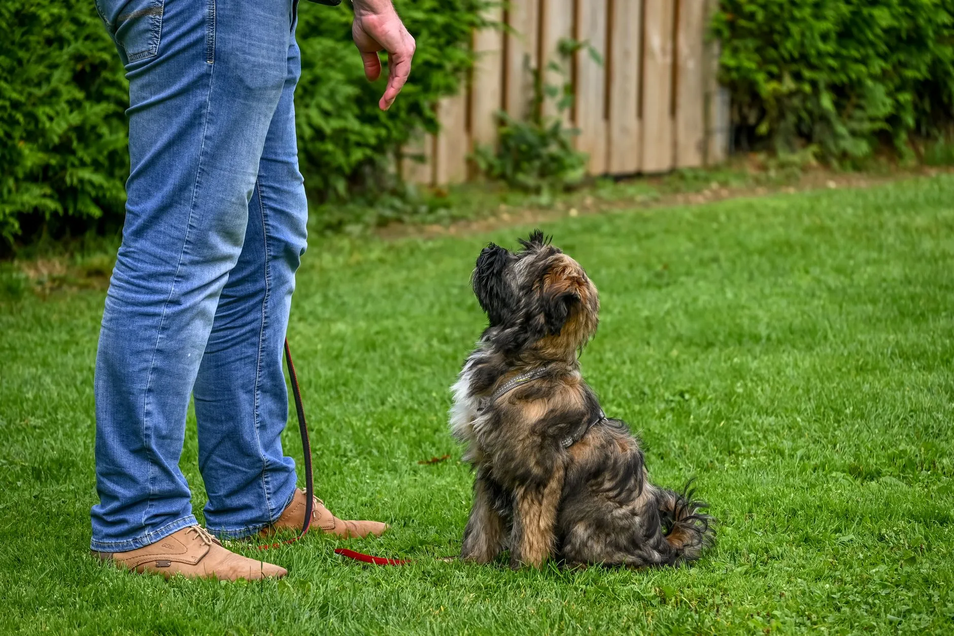 Hundehalterin geht entspannt mit Hund an der Leine spazieren.