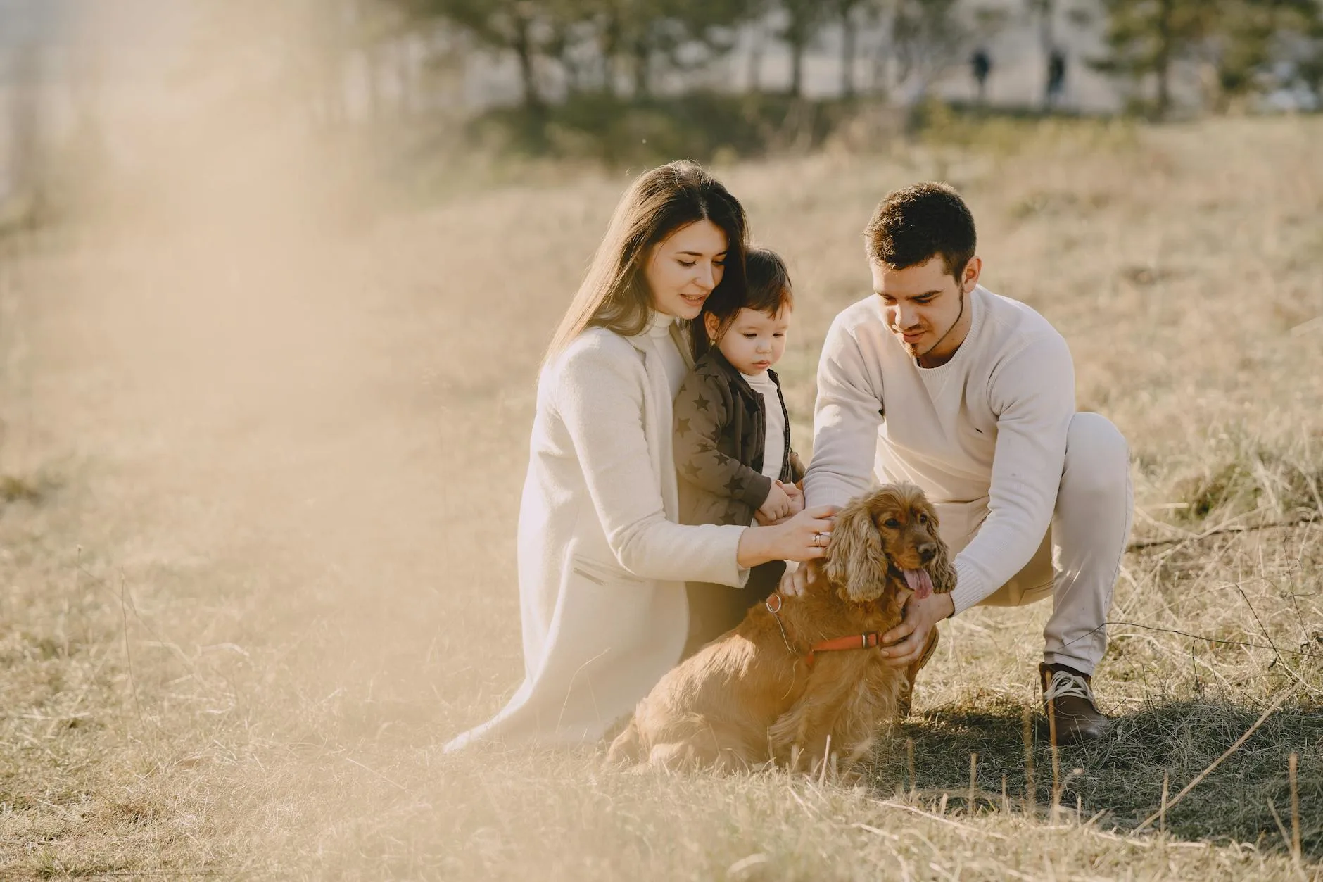 Hund und Mensch genießen einen vertrauensvollen Moment auf einem Feld